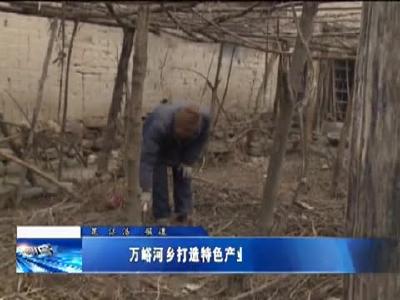 万峪河乡打造特色产业示范带