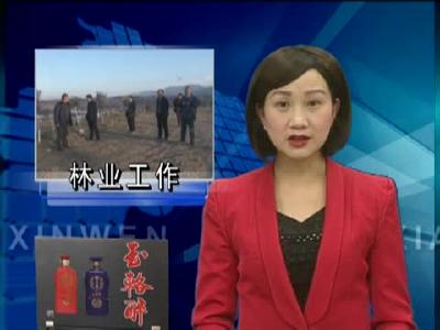 市政府考核组对房县林业“四项工作”进行综合考核