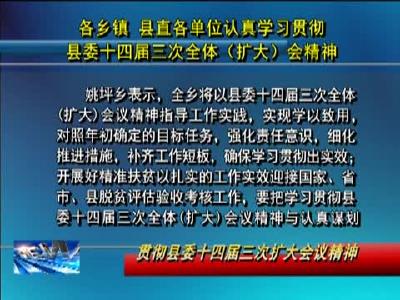各乡镇 县直单位认真学习贯彻县委十四届三次全体（扩大）会精神