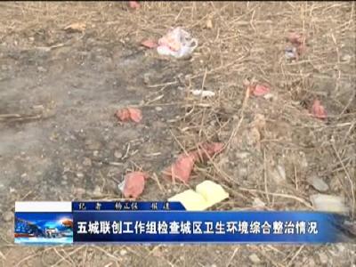 五城联创工作组检查城区卫生环境综合整治情况