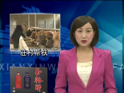 县检察院工作队：发展集体经济 共奔致富之路