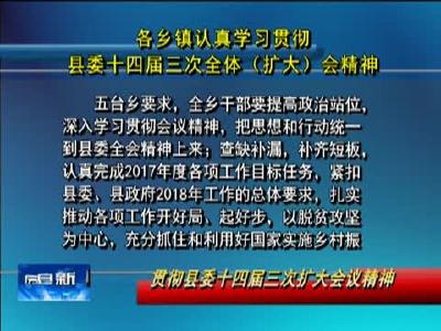 各乡镇认真学习贯彻县委十四届三次全体（扩大）会精神