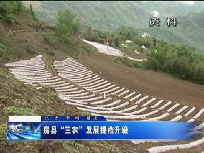 房县“三农”发展提档升级