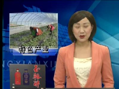 军店镇发展特色产业助农脱贫致富 