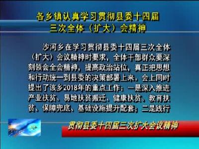 各乡镇认真学习贯彻县委十四届三次全体（扩大）会精神