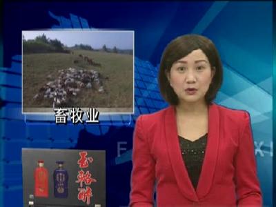 房县全力打造“三美”畜牧业