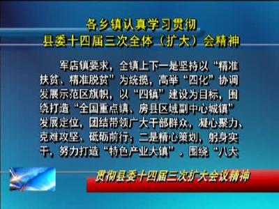 各乡镇认真学习贯彻县委十四届三次全体（扩大）会精神