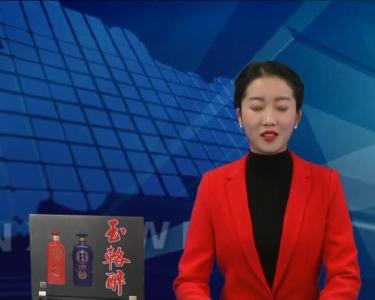 县老年大学举行庆元旦文艺汇演