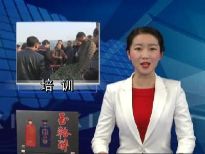 县农业局开展新型职业农民茶叶产业培训 