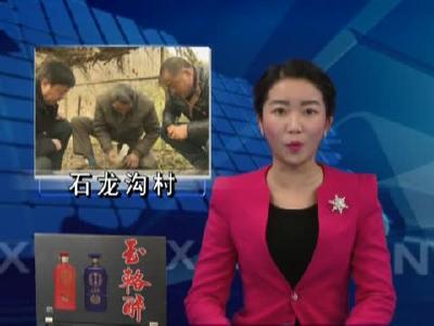 石龙沟村：发展集体经济 共奔致富之路