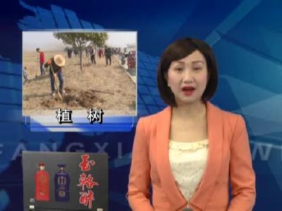 军店镇：共植一片绿 建设美丽家园