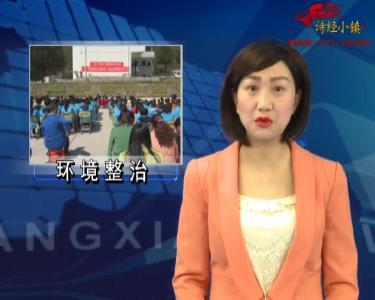 上龛乡开展集镇环境整治活动