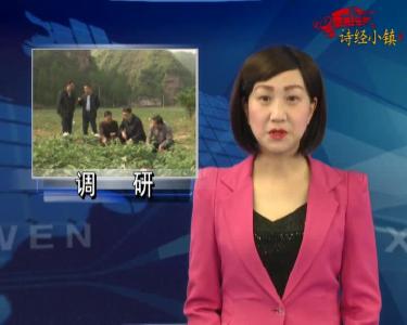 房县新闻20180420