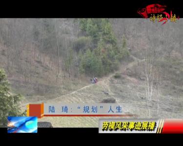 陆琦：“规划”人生