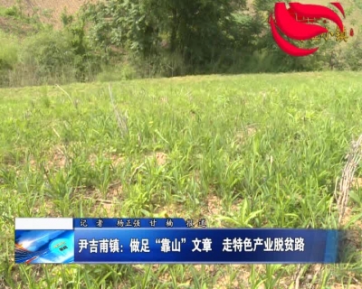 房县新闻20180522