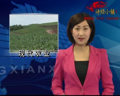 房县新闻20180521