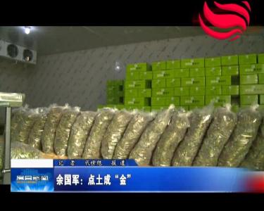 余国军：点土成“金”