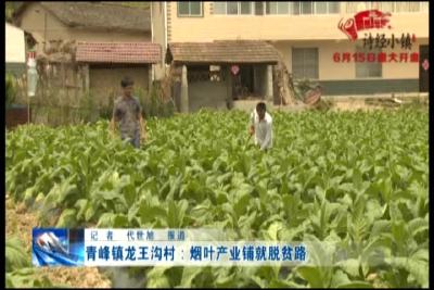 青峰镇龙王沟村：烟叶产业铺就脱贫路