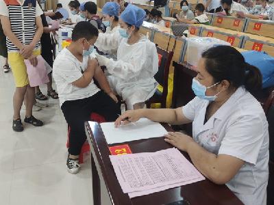 房县天明小学：积极做好学生疫苗接种工作