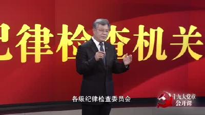 第二十讲 党的纪律检查机关