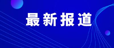 吳錦參加洪湖市代表團審議提出 對標“五區五中心” 打造區域融合發展新標桿