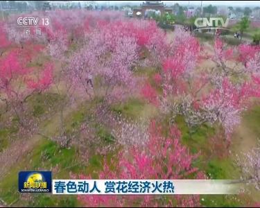 春色动人 赏花经济火热