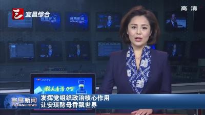 发挥党组织政治核心作用 让安琪酵母香飘世界