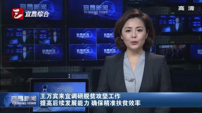 王万宾来宜调研脱贫攻坚工作 提高后续发展能力 确保精准扶贫效率