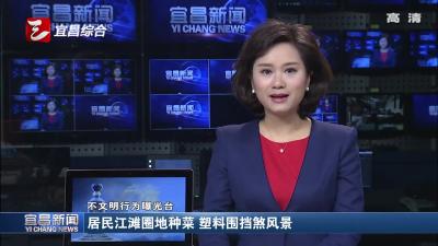 不文明曝光台：江滩圈地种菜 塑料围挡煞风景