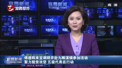 傅德辉来宜调研并赴九畹溪镇参加活动 聚力脱贫攻坚 五级代表在行动