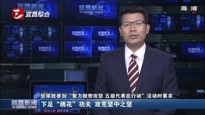 张家胜参加“聚力脱贫攻坚 五级代表在行动”活动时要求：下足“绣花”功夫 攻克坚中之坚
