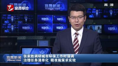 张家胜调研城市环保工作时强调 治理任务清单化 精准施策求实效
