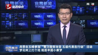 周霁在五峰参加“聚力脱贫攻坚 五级代表在行动 ”活动 梦花树上打个结 祝愿早圆小康梦