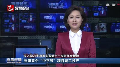 当阳首个“中字号”项目竣工投产