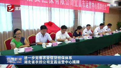 湖北省农担公司宜昌运营中心揭牌