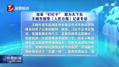 改革“钉钉子” 敢为天下先——王晓东接受《人民日报》记者专访