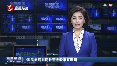 中国民航局副局长董志毅来宜调研