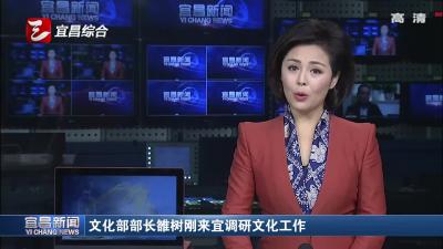 文化部部长雒树刚来宜调研文化工作