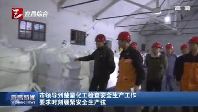 市领导到楚星化工检查安全生产工作