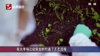 《宜昌新闻》20171005