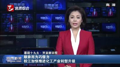 顺势而为巧借力 枝江加快推进化工产业转型升级