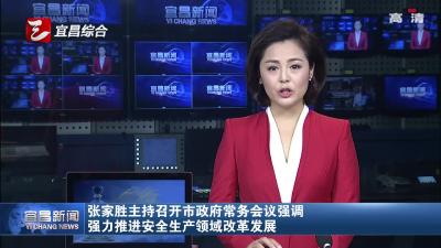 张家胜：强力推进安全生产领域改革发展
