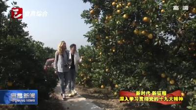 《宜昌新闻》20171203