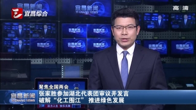 张家胜参加湖北代表团审议并发言