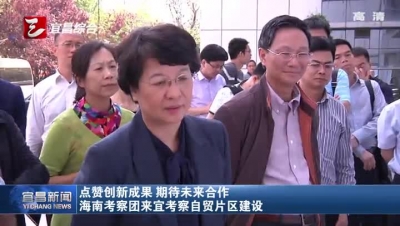 海南考察团来宜考察自贸片区建设