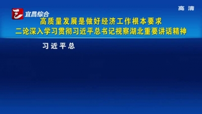 高质量发展是做好经济工作根本要求

