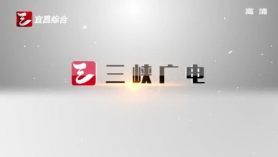 市领导调研当阳工业企业生产情况