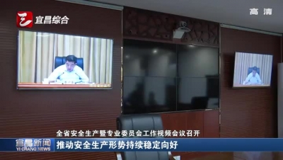全省安全生产暨专业委员会工作视频会议召开