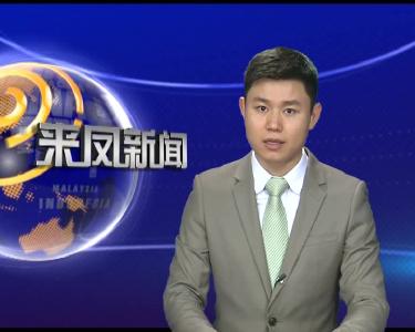 浙江杨梅专家到三胡梅园把脉问诊