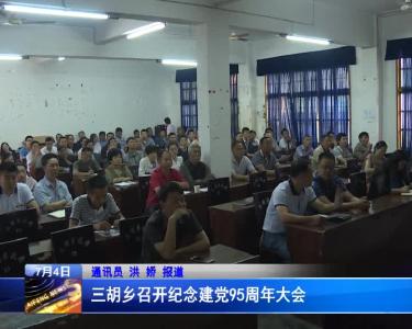 三胡乡召开纪念建党95周年大会
